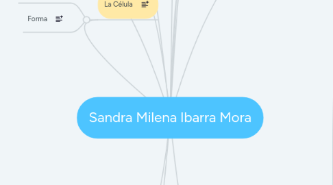 Mind Map: Sandra Milena Ibarra Mora