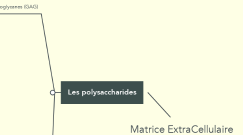 Mind Map: Matrice ExtraCellulaire