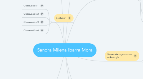 Mind Map: Sandra Milena Ibarra Mora