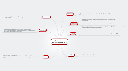 Mind Map: PROJECT CONSULTANT