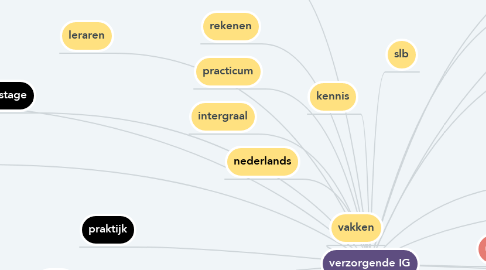 Mind Map: verzorgende IG