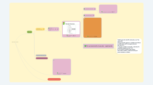 Mind Map: Slide sobre Valvulas