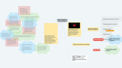 Mind Map: PARES CRANEALES Y PARES ESPINALES