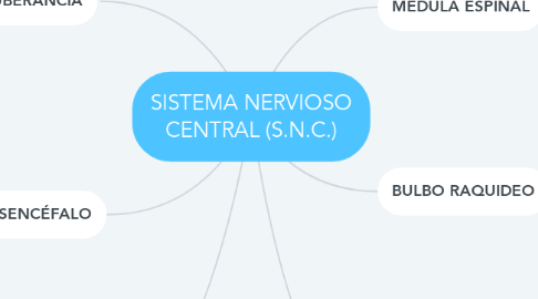 Mind Map: SISTEMA NERVIOSO CENTRAL (S.N.C.)