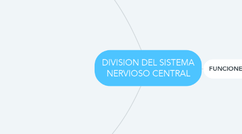 Mind Map: DIVISION DEL SISTEMA NERVIOSO CENTRAL
