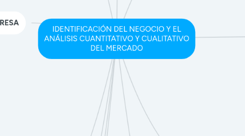 Mind Map: IDENTIFICACIÓN DEL NEGOCIO Y EL ANÁLISIS CUANTITATIVO Y CUALITATIVO DEL MERCADO