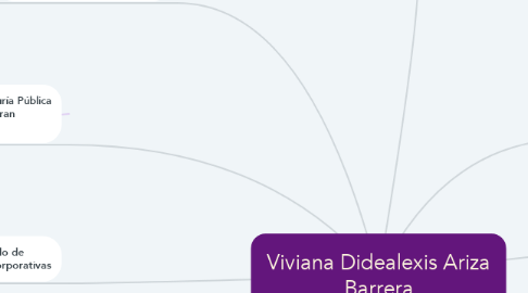 Mind Map: Viviana Didealexis Ariza Barrera