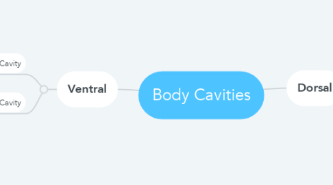 Mind Map: Body Cavities