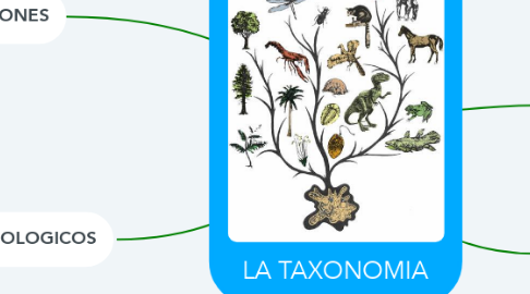 Mind Map: LA TAXONOMIA