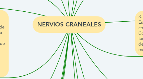 Mind Map: NERVIOS CRANEALES