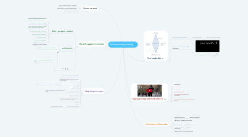 Mind Map: Reflectieverslag Visiedag