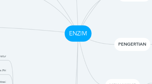 Mind Map: ENZIM
