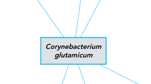 Mind Map: Corynebacterium glutamicum