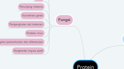 Mind Map: Protein
