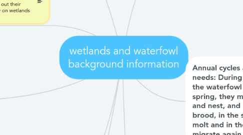 Mind Map: wetlands and waterfowl background information