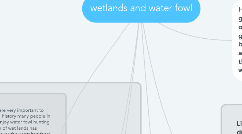 Mind Map: wetlands and water fowl