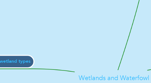 Mind Map: Wetlands and Waterfowl background information