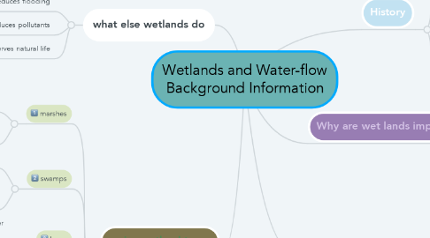 Mind Map: Wetlands and Water-flow Background Information