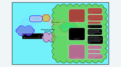 Mind Map: wetland and waterfowl information