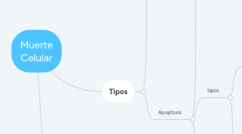 Mind Map: Muerte Celular