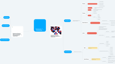 Mind Map: Bioelementos Y Biomolèculas