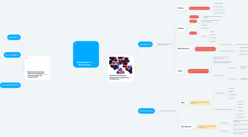 Mind Map: Bioelementos  Y  Biomolèculas