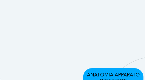 Mind Map: ANATOMIA APPARATO DIGERENTE