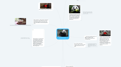 Mind Map: The Giant Panda