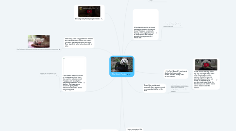 Mind Map: The Giant Panda