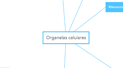 Mind Map: Organelas celulares