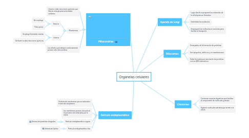 Mind Map: Organelas celulares