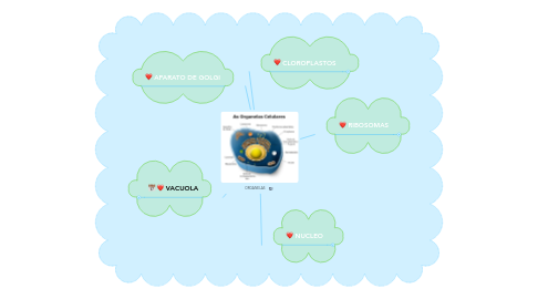 Mind Map: ORGANELAS