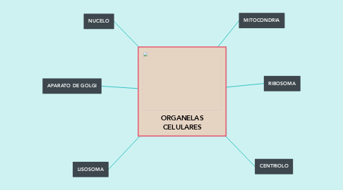 Mind Map: ORGANELAS CELULARES