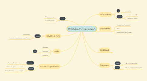 Mind Map: ORGANELAS CELULARES
