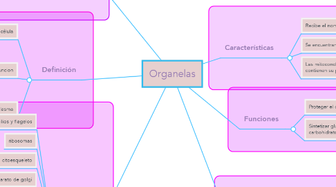 Mind Map: Organelas