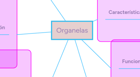 Mind Map: Organelas