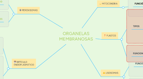 Mind Map: ORGANELAS MEMBRANOSAS