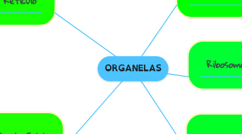 Mind Map: ORGANELAS