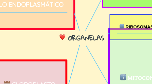 Mind Map: ORGANELAS