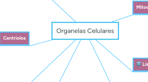 Mind Map: Organelas Celulares