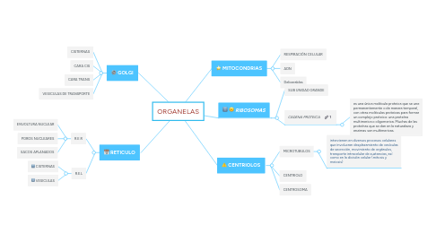 Mind Map: ORGANELAS