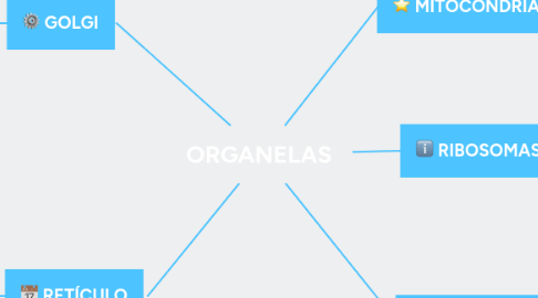 Mind Map: ORGANELAS