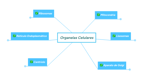 Mind Map: Organelas Celulares