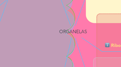 Mind Map: ORGANELAS