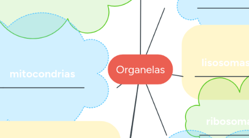 Mind Map: Organelas