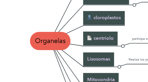 Mind Map: Organelas