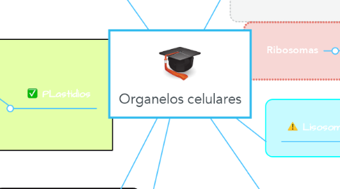 Mind Map: Organelos celulares