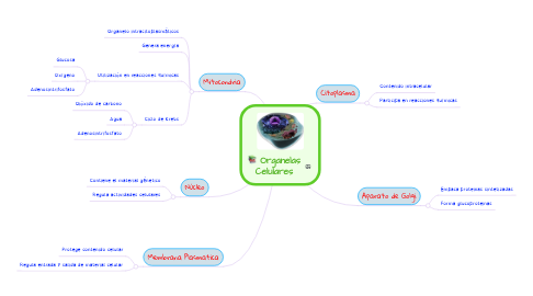 Mind Map: Organelas Celulares