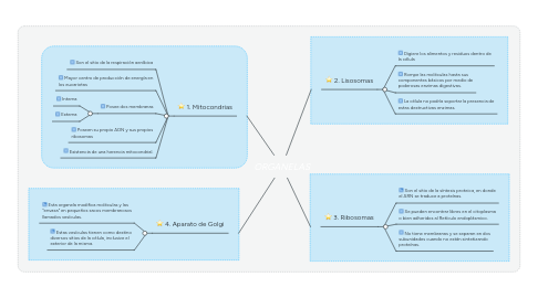 Mind Map: ORGANELAS