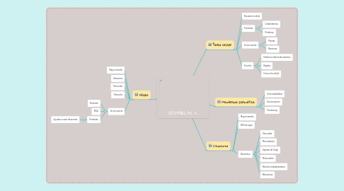 Mind Map: ORGANELAS